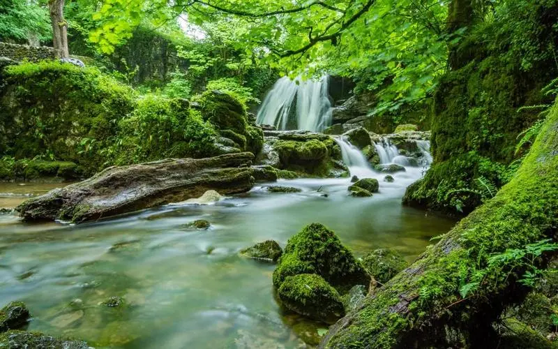 可靠性高端高标准